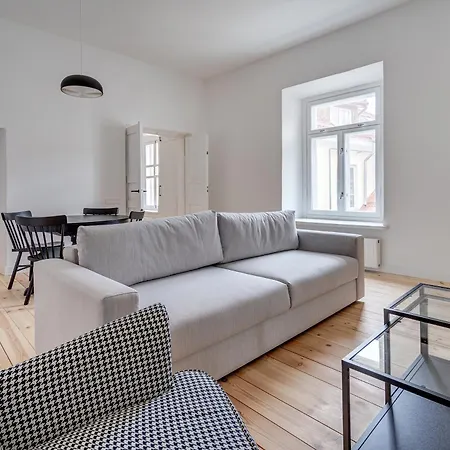 Spacious In The Heart Of Old Town 维尔纽斯