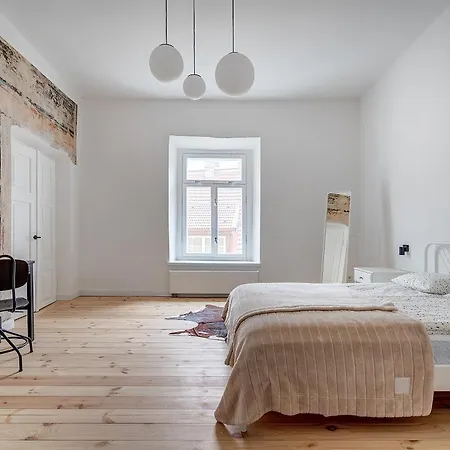 公寓 Spacious In The Heart Of Old Town