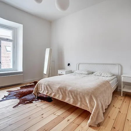 Spacious In The Heart Of Old Town 公寓